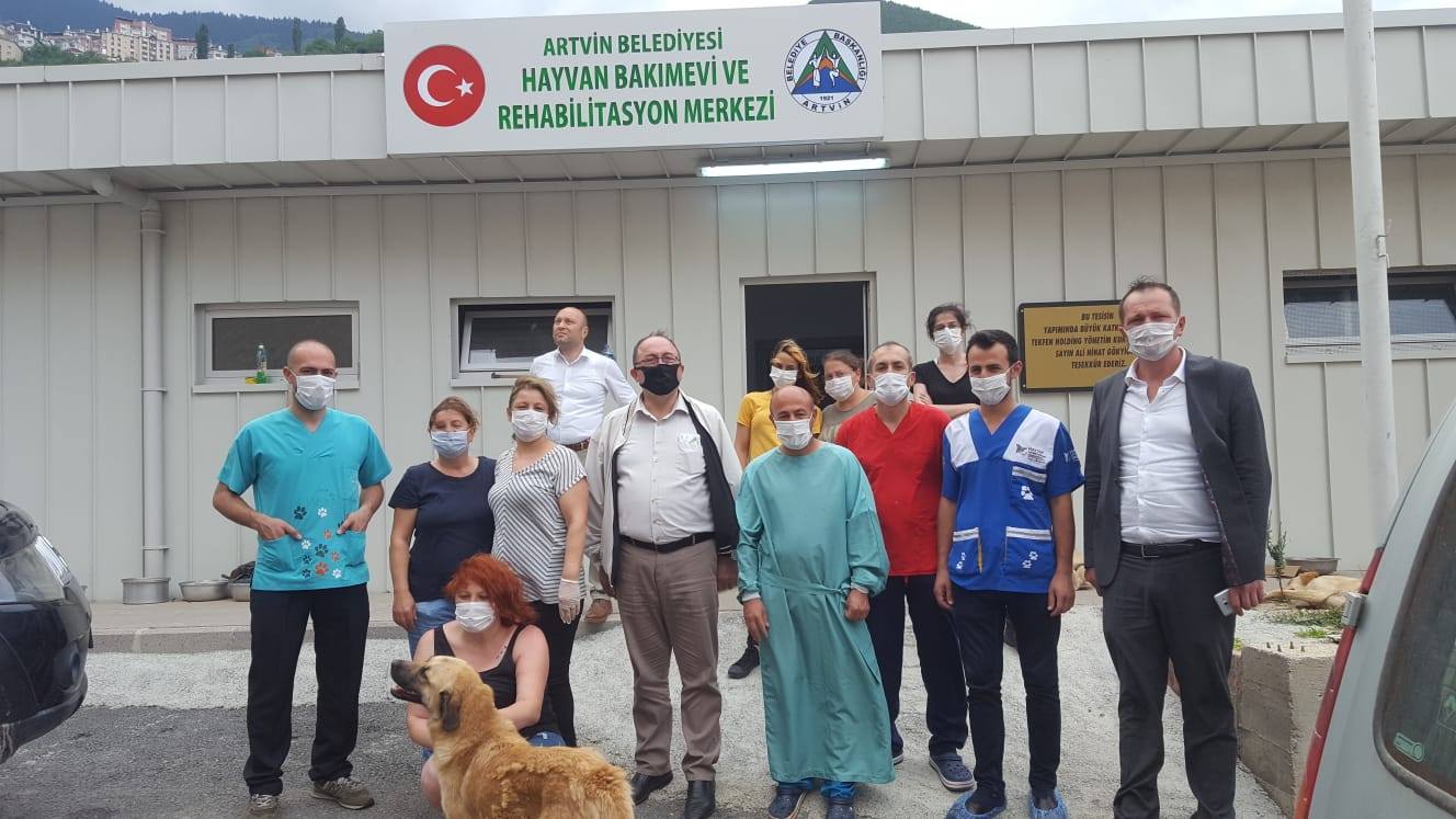 Haytap Sahipsiz Sokak Hayvanları İçin Artvin’deydi